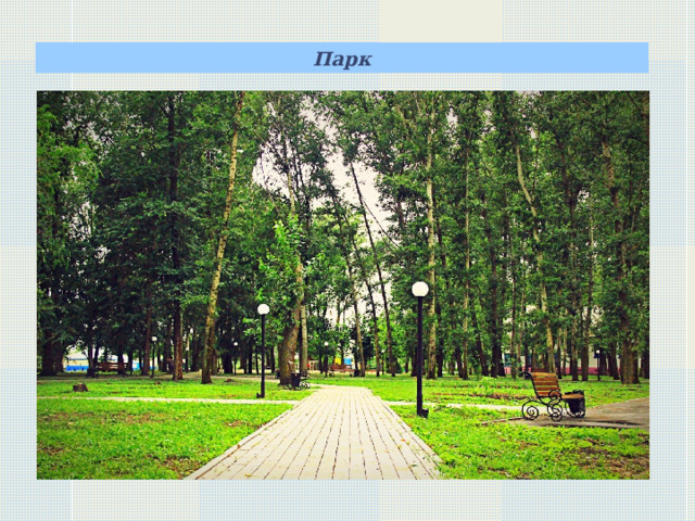 Парк    