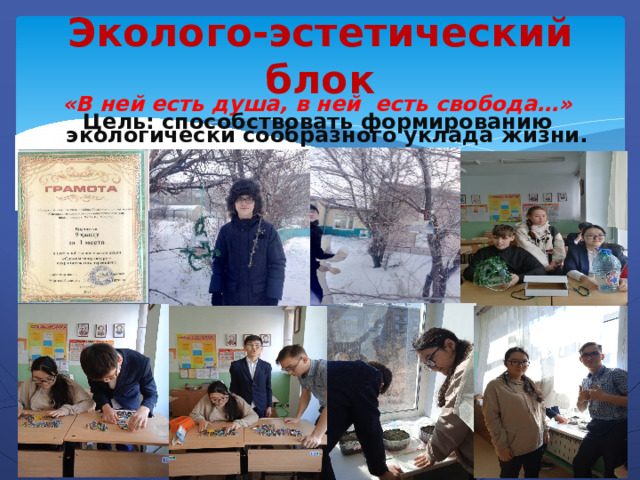 Эколого-эстетический блок «В ней есть душа, в ней есть свобода…» Цель: способствовать формированию экологически сообразного уклада жизни. 