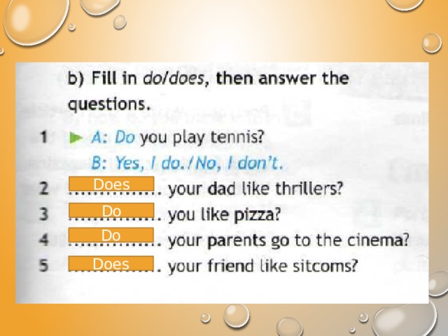 Does Do Do Does 