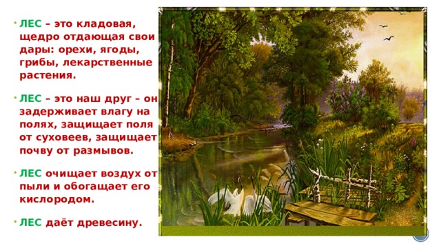 ЛЕС – это кладовая, щедро отдающая свои дары: орехи, ягоды, грибы, лекарственные растения. ЛЕС – это наш друг – он задерживает влагу на полях, защищает поля от суховеев, защищает почву от размывов. ЛЕС очищает воздух от пыли и обогащает его кислородом. ЛЕС даёт древесину. 