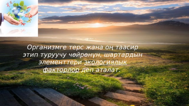 Организмге терс жана оң таасир этип туруучу чөйрөнүн, шартардын элементтери экологиялык факторлор  деп аталат. 