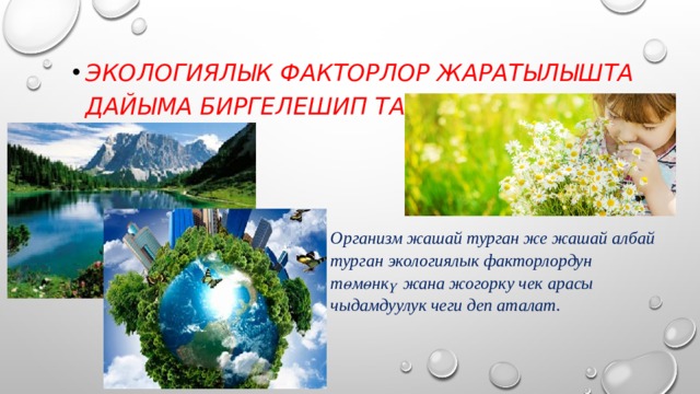 Экологиялык факторлор жаратылышта дайыма биргелешип таасир этишет. Организм жашай турган же жашай албай турган экологиялык факторлордун төмөнкү жана жогорку чек арасы чыдамдуулук чеги деп аталат. 