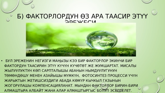 Б) Факторлордун өз ара таасир этүү эрежеси.  Бул эреженин негизги маңызы кээ бир факторлор экинчи бир фактордун таасирин этүү күчүн күчөтөт же жумшартат. Мисалы жылуулуктун көп сарпталышы абанын нымдуулугунун төмөндөшү менен азайышы мүмкүн, фотосинтез процесси үчүн жарыктын жетишсиздиги абада көмүр кычкыл газынын жогорулашы компенсацияланат. Мындан факторлор бирин-бири алмаштыра албайт жана алар алмаштыргыс болуп эсептелет. 