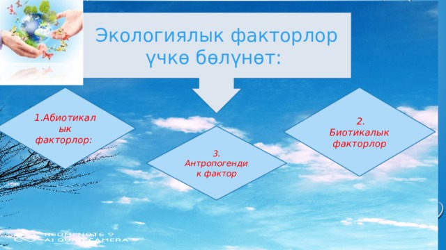 Экологиялык факторлор үчкө бөлүнөт: 1.Абиотикалык факторлор:  2. Биотикалык факторлор 3. Антропогендик фактор 