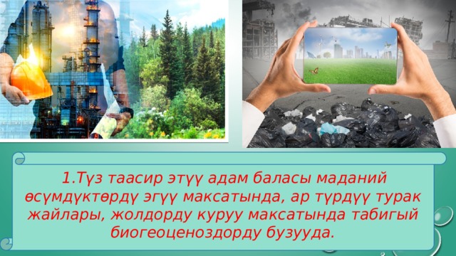  1.Түз таасир этүү адам баласы маданий өсүмдүктөрдү эгүү максатында, ар түрдүү турак жайлары, жолдорду куруу максатында табигый биогеоценоздорду бузууда. 