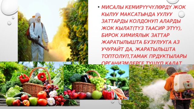 Мисалы кемирүүчүлөрдү жок кылуу максатында уулуу заттарды колдонуп аларды жок кылат(түз таасир этүү), бирок химиялык заттар жаратылышта бузулууга аз учурайт да, жаратыльшта топтолуп,тамак прдуктылары организмдерге түшүп калат жана организмдердин уулануусуна алып келет (кыйыр таасир этүү). 