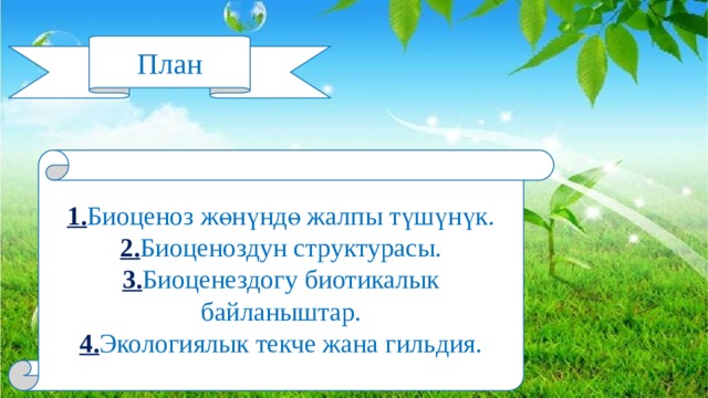 План 1. Биоценоз жөнүндө жалпы түшүнүк. 2. Биоценоздун структурасы. 3. Биоценездогу биотикалык байланыштар. 4. Экологиялык текче жана гильдия. 