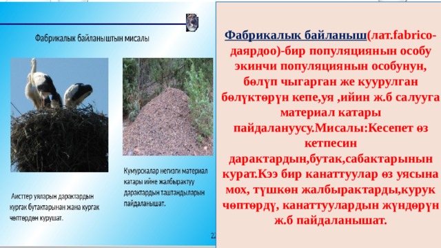Фабрикалык байланыш (лат.fabrico-даярдоо)-бир популяциянын особу экинчи популяциянын особунун, бөлүп чыгарган же куурулган бөлүктөрүн кепе,уя ,ийин ж.б салууга материал катары пайдалануусу.Мисалы:Кесепет өз кетпесин дарактардын,бутак,сабактарынын курат.Кээ бир канаттуулар өз уясына мох, түшкөн жалбырактарды,курук чөптөрдү, канаттуулардын жүндөрүн ж.б пайдаланышат. 