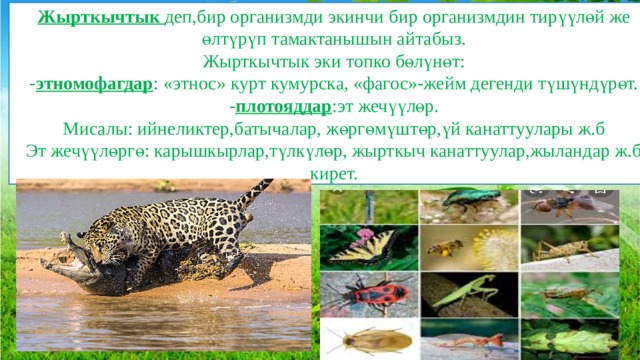 Жырткычтык деп,бир организмди экинчи бир организмдин тирүүлөй же өлтүрүп тамактанышын айтабыз. Жырткычтык эки топко бөлүнөт: - этномофагдар : «этнос» курт кумурска, «фагос»-жейм дегенди түшүндүрөт. - плотояддар :эт жечүүлөр. Мисалы: ийнеликтер,батычалар, жөргөмүштөр,үй канаттуулары ж.б Эт жечүүлөргө: карышкырлар,түлкүлөр, жырткыч канаттуулар,жыландар ж.б кирет. 
