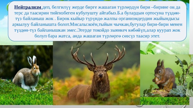 Нейтрализм деп, белгилүү жерде бирге жашаган түрлөрдүн бири –бирине оң да терс да таасирин тийгизбеген кубулушту айтабыз.Б.а булардын ортосуна түздөн-түз байланыш жок . Бирок кыйыр түрүндө жалпы организмдердин жыйындысы аркылуу байланышта болот.Мисалы:коён,тыйын чычкан,бугулар бири-бири менен түздөн-түз байланышкан эмес.Эгерде токойдо зыянкеч көбөйүп,алар куурап жок болуп бара жатса, анда жашаган түрлөргө сөзсүз таасир этет. 