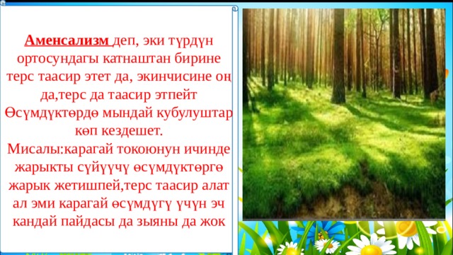 Аменсализм деп, эки түрдүн ортосундагы катнаштан бирине терс таасир этет да, экинчисине оң да,терс да таасир этпейт Өсүмдүктөрдө мындай кубулуштар көп кездешет. Мисалы:карагай токоюнун ичинде жарыкты сүйүүчү өсүмдүктөргө жарык жетишпей,терс таасир алат ал эми карагай өсүмдүгү үчүн эч кандай пайдасы да зыяны да жок 