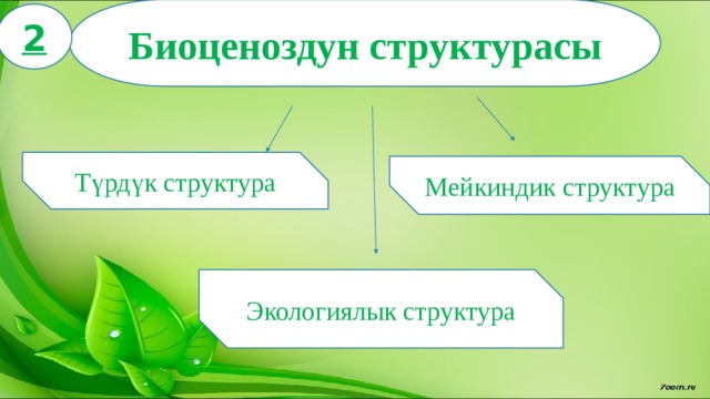 Биоценоздун структурасы 2 Түрдүк структура Мейкиндик структура Экологиялык структура 