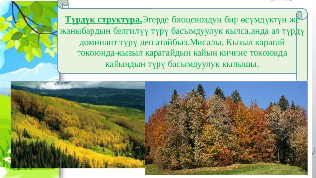 Түрдүк структура. Эгерде биоценоздун бир өсүмдүктүн же жаныбардын белгилүү түрү басымдуулук кылса,анда ал түрдү доминант түрү деп атайбыз.Мисалы, Кызыл карагай токоюнда-кызыл карагайдын кайың кичине токоюнда кайыңдын түрү басымдуулук кылышы. 