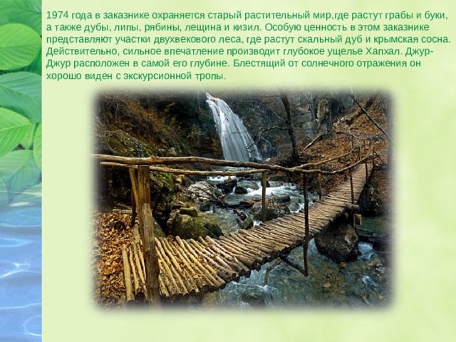 1974 года в заказнике охраняется старый растительный мир,где растут грабы и буки, а также дубы, липы, рябины, лещина и кизил. Особую ценность в этом заказнике представляют участки двухвекового леса, где растут скальный дуб и крымская сосна. Действительно, сильное впечатление производит глубокое ущелье Хапхал. Джур-Джур расположен в самой его глубине. Блестящий от солнечного отражения он хорошо виден с экскурсионной тропы. 