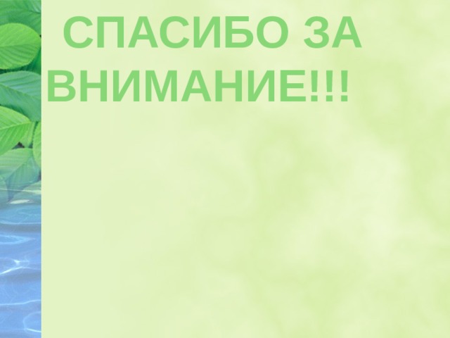  Спасибо за внимание!!!  