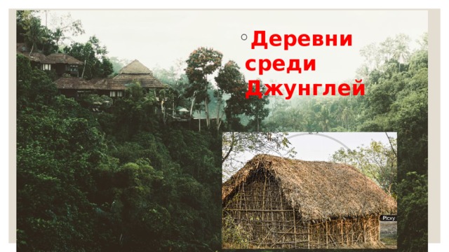 Деревни среди Джунглей 