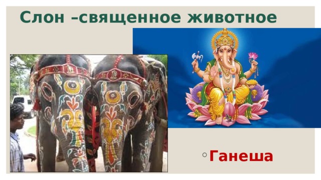Слон –священное животное Ганеша 