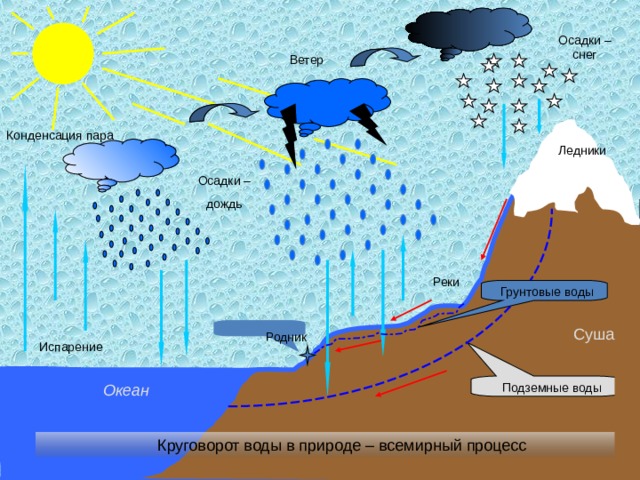 Осадки – снег Ветер Конденсация пара Ледники Осадки – дождь Реки Грунтовые воды Суша Родник Испарение Подземные воды Океан   Круговорот воды в природе – всемирный процесс 