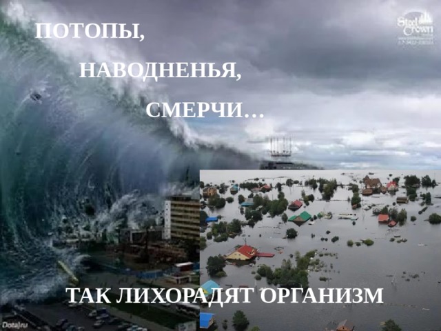 ПОТОПЫ,    НАВОДНЕНЬЯ,        СМЕРЧИ…     ТАК ЛИХОРАДЯТ ОРГАНИЗМ Капля Л.А., зав. ШБ МОУ 