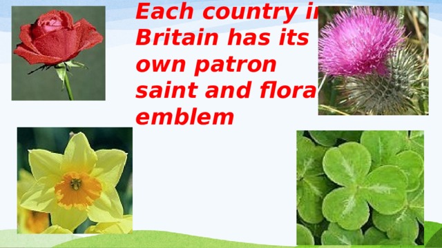 Each country in Britain has its own patron saint and floral emblem 