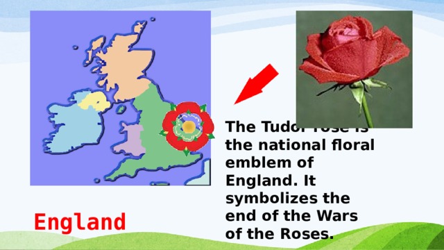 The Tudor rose is the national floral emblem of England. It symbolizes the end of the Wars of the Roses. England  