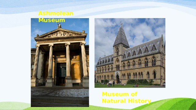 Ashmolean Museum Museum of Natural History 