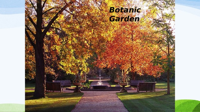 Botanic Garden   