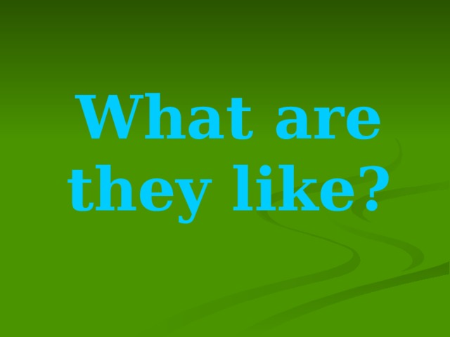 What are they like? 