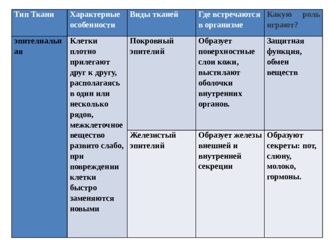 Тип Ткани Характерные особенности эпителиальная   Клетки плотно прилегают друг к другу, располагаясь в один или несколько рядов, межклеточное вещество развито слабо, при повреждении клетки быстро заменяются новыми Виды тканей Где встречаются в организме   Покровный эпителий Какую роль играют?   Образует поверхностные слои кожи, выстилают оболочки внутренних органов. Железистый эпителий Защитная функция, обмен веществ   Образует железы внешней и внутренней секреции       Образуют секреты: пот, слюну, молоко, гормоны.                       