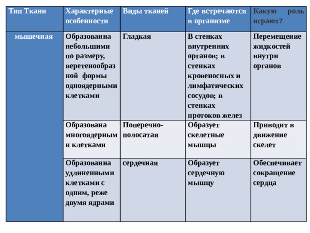 Тип Ткани мышечная Характерные особенности   Образованна небольшими по размеру, веретенообразной формы одноядерными клетками Виды тканей   Образована многоядерными клетками Где встречаются в организме Гладкая Какую роль играют? Образованна удлиненными клетками с одним, реже двумя ядрами В стенках внутренних органов; в стенках кровеносных и лимфатических сосудов; в стенках протоков желез   Поперечно-полосатая Перемещение жидкостей внутри органов   Образует скелетные мышцы сердечная   Приводит в движение скелет Образует сердечную мышцу   Обеспечивает сокращение сердца     
