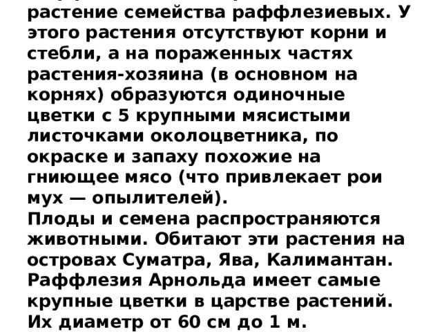 Раффлезия — это паразитическое растение семейства раффлезиевых. У этого растения отсутствуют корни и стебли, а на пораженных частях растения-хозяина (в основном на корнях) образуются одиночные цветки с 5 крупными мясистыми листочками околоцветника, по окраске и запаху похожие на гниющее мясо (что привлекает рои мух — опылителей).  Плоды и семена распространяются животными. Обитают эти растения на островах Суматра, Ява, Калимантан. Раффлезия Арнольда имеет самые крупные цветки в царстве растений. Их диаметр от 60 см до 1 м. 