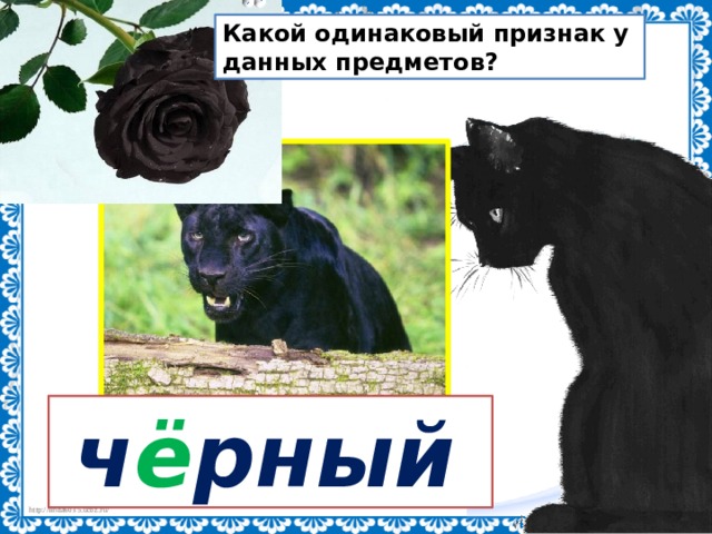 Какой одинаковый признак у данных предметов?  ч ё рный 