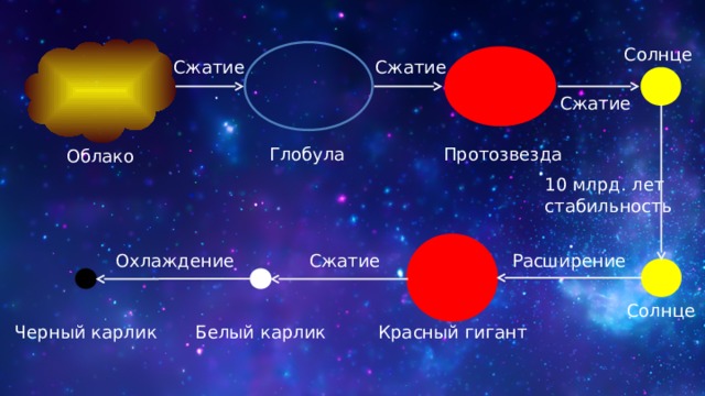 Солнце Сжатие Сжатие Сжатие Протозвезда Глобула Облако 10 млрд. лет стабильность Охлаждение Сжатие Расширение Солнце Белый карлик Красный гигант Черный карлик 