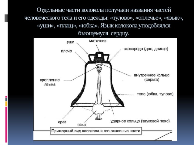 Отдельные части колокола получали названия частей человеческого тела и его одежды: «тулово», «оплечье», «язык», «уши», «плащ», «юбка». Язык колокола уподоблялся бьющемуся сердцу. 