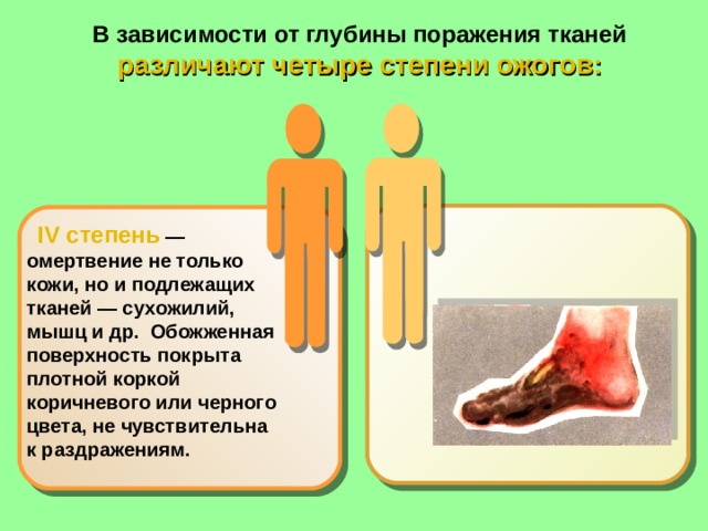 В зависимости от глубины поражения тканей различают четыре степени ожогов:         .     IV степень  —  омертвение не только кожи, но и подлежащих тканей — сухожилий, мышц и др. Обожженная поверхность покрыта плотной коркой коричневого или черного цвета, не чувствительна к раздражениям. 