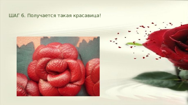 ШАГ 6. Получается такая красавица! 