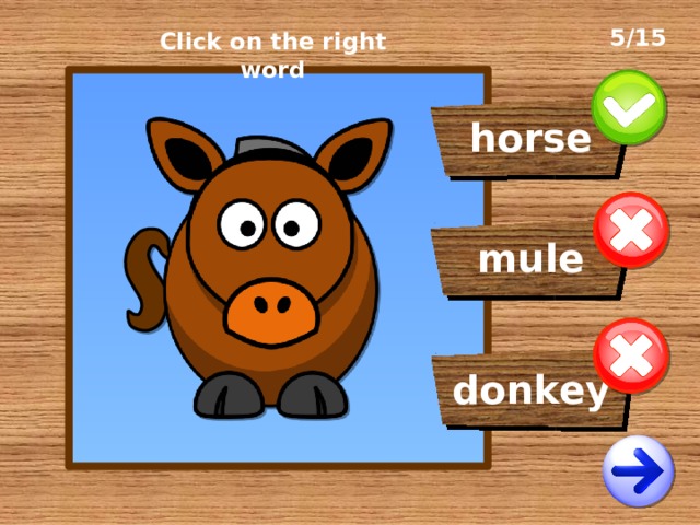 5/15 Click on the right word horse mule donkey 