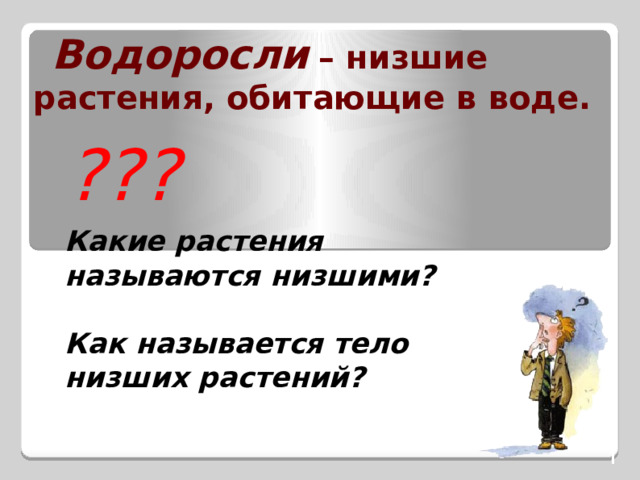 Водоросли  – низшие растения, обитающие в воде. ??? Какие растения называются низшими?  Как называется тело низших растений? 