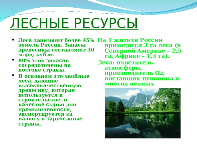 ЛЕСНЫЕ РЕСУРСЫ На 1 жителя России приходится 3 га леса (в Северной Америке – 2,5 га, Африке – 1,3 га). Леса: очиститель атмосферы, производитель О 2 , поставщик пушнины и многих ценных продуктов. Леса занимают более 45% земель России. Запасы древесины составляют 30 млрд. куб.м. 80% этих запасов сосредоточены на востоке страны. В основном это хвойные леса, дающие высококачественную древесину, которая используется в строительстве, в качестве сырья для промышленности, экспортируется за валюту в зарубежные страны .  