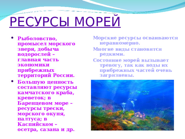 РЕСУРСЫ МОРЕЙ Морские ресурсы осваиваются неравномерно. Многие виды становятся редкими. Состояние морей вызывает тревогу, так как воды их прибрежных частей очень загрязнены.  Рыболовство, промысел морского зверя, добыча водорослей – главная часть экономики прибрежных территорий России. Большую ценность составляют ресурсы камчатского краба, креветок; в Баренцевом море – ресурсы трески, морского окуня, палтуса; в Каспийском – осетра, сазана и др.  