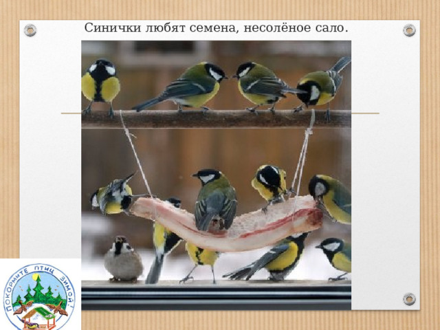 Синички любят семена, несолёное сало. 