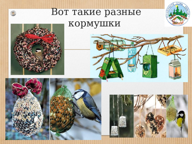 Вот такие разные кормушки 
