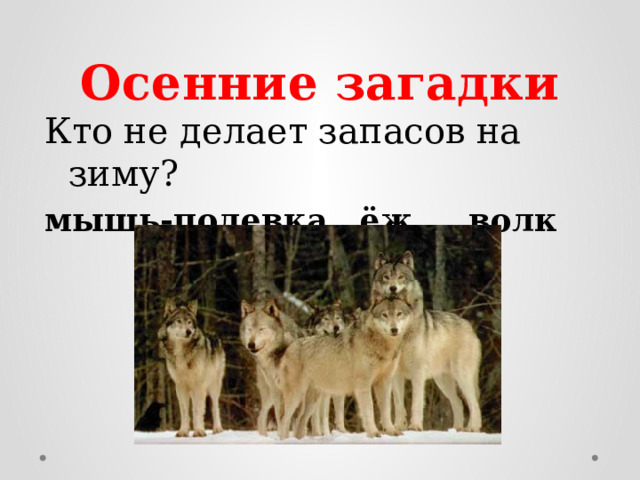 Осенние загадки Кто не делает запасов на зиму? мышь-полевка ёж волк  белка