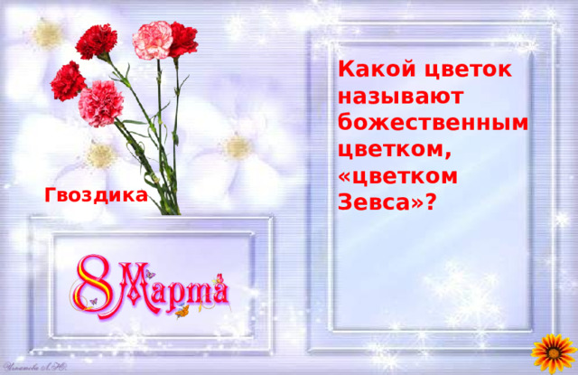 Какой цветок называют божественным цветком, «цветком Зевса»? Гвоздика 