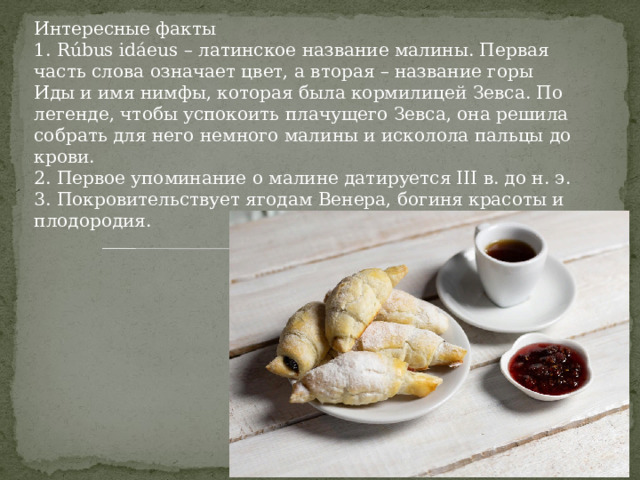 Интересные факты 1. Rúbus idáeus – латинское название малины. Первая часть слова означает цвет, а вторая – название горы Иды и имя нимфы, которая была кормилицей Зевса. По легенде, чтобы успокоить плачущего Зевса, она решила собрать для него немного малины и исколола пальцы до крови. 2. Первое упоминание о малине датируется III в. до н. э. 3. Покровительствует ягодам Венера, богиня красоты и плодородия. 