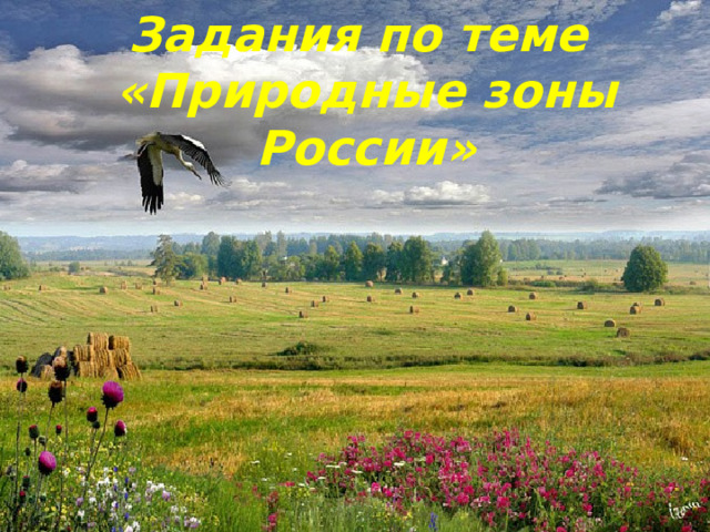 Задания по теме «Природные зоны России» 