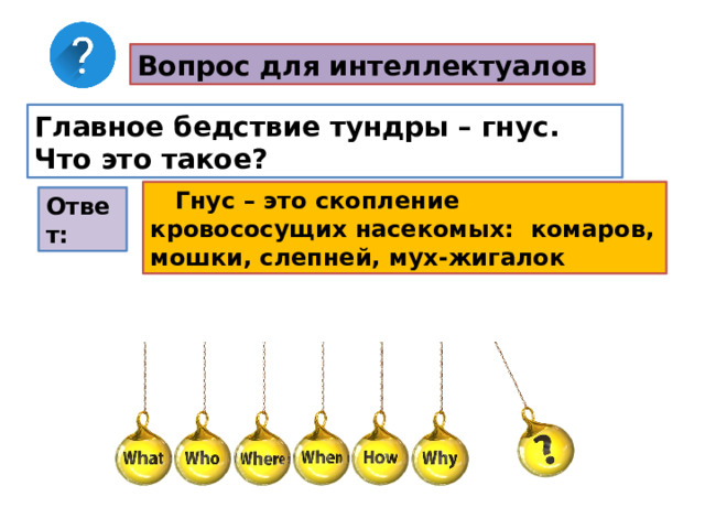 Вопрос для интеллектуалов Главное бедствие тундры – гнус. Что это такое?  Гнус – это скопление кровососущих насекомых: комаров, мошки, слепней, мух-жигалок  Ответ: 