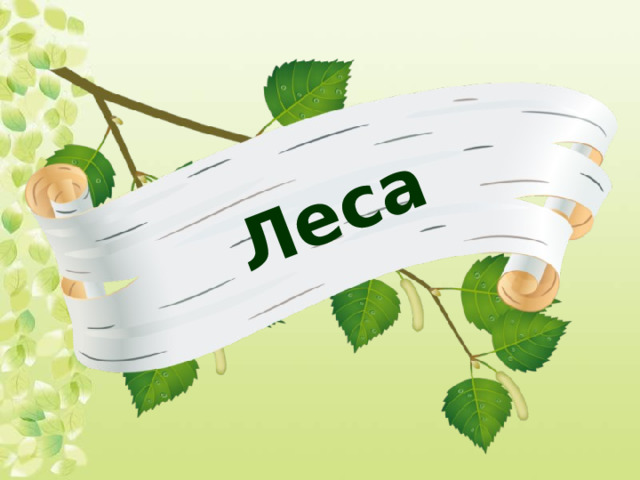 Леса 