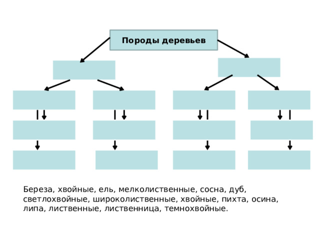 Породы деревьев Береза, хвойные, ель, мелколиственные, сосна, дуб, светлохвойные, широколиственные, хвойные, пихта, осина, липа, лиственные, лиственница, темнохвойные. 