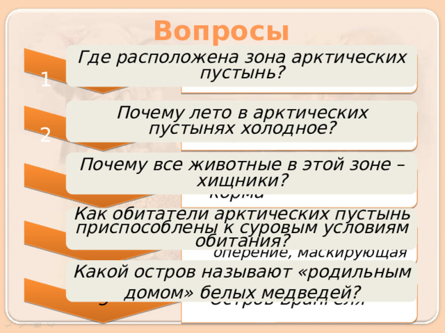 На островах СЛО Мало поступает солнечной 3 Нет растительного корма 4 Связь с морем, толстый слой жира, густой мех и оперение, маскирующая окраска 5 Остров Врангеля Вопросы Где расположена зона арктических пустынь? 1 Почему лето в арктических пустынях холодное? 2 Почему все животные в этой зоне – хищники? Как обитатели арктических пустынь приспособлены к суровым условиям обитания? Для получения верного ответа, кликните плашку с вопросом Какой остров называют «родильным домом» белых медведей? 3 